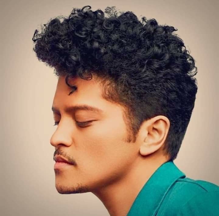 Curly Pompadour